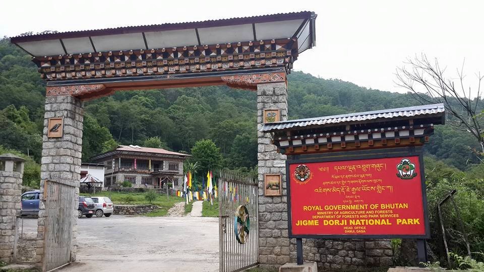 Jigme Dorji National Park