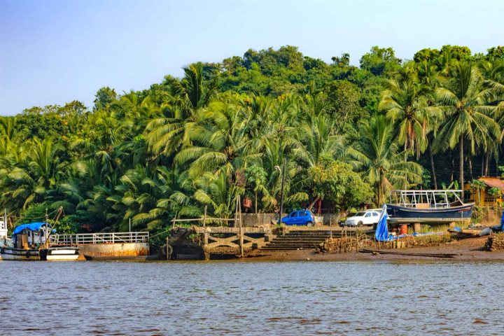 Chorao Island Goa