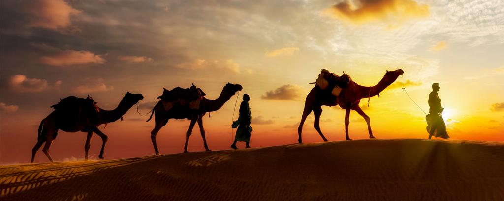 Desert safari Rajasthan