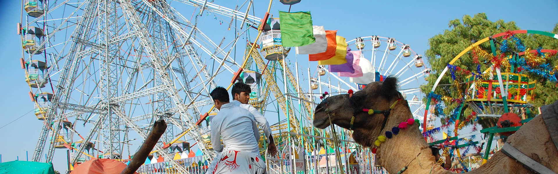 Pushkar Camel fair-Rajasthan Tour