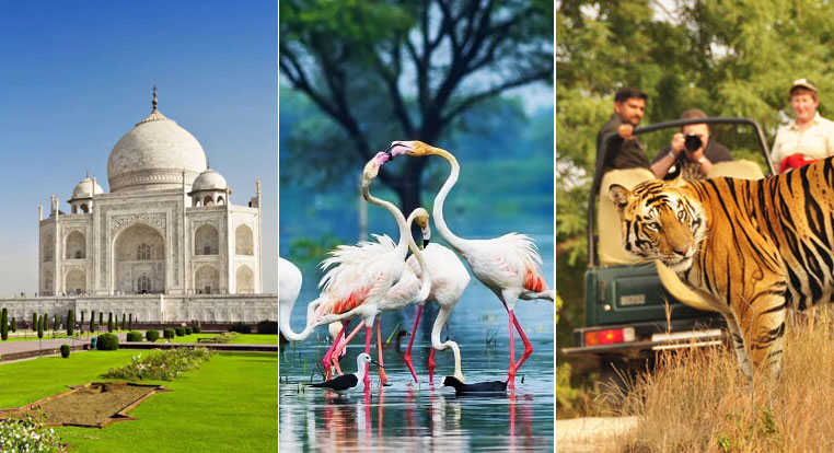Golden Triangle Tour with Wildlife