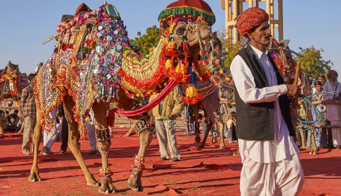Nagaur festival
