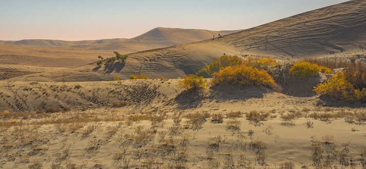 desert safari tourism in india