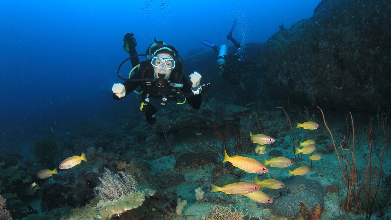 Scuba Diving