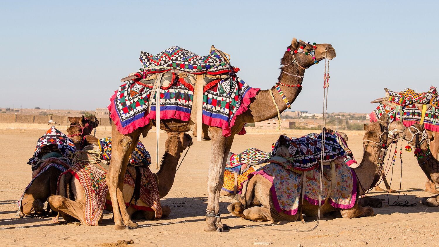 Desert Festival in Jaisalmer, Rajasthan, India.