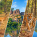 Rantambore Tour Packages