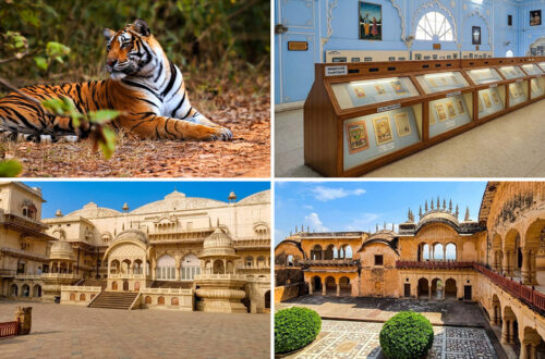 Best Places to Visit in Alwar,